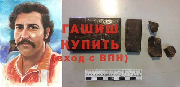 гашик Козельск