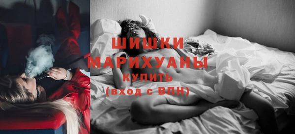 гашик Козельск