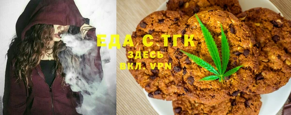 гашик Козельск