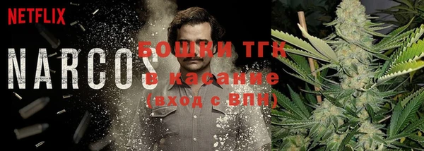 гашик Козельск