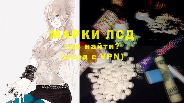 гашик Козельск
