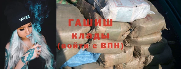 гашик Козельск
