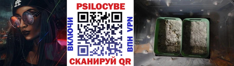 Галлюциногенные грибы Psilocybine cubensis  Купить где  Дмитровск 