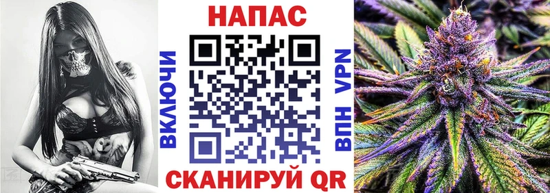 Купить  Дмитровск  Бошки марихуана Amnesia 